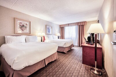 Cozy Rooms At Amenida Residences + Hotel - Pet Friendly 