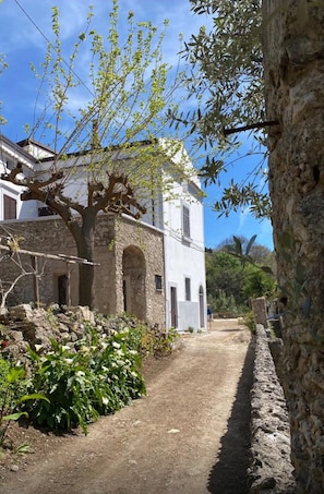 Exterior - Old cottage between Amalfi and Pompeii (sleeps 14) (Cava de' Tirreni)