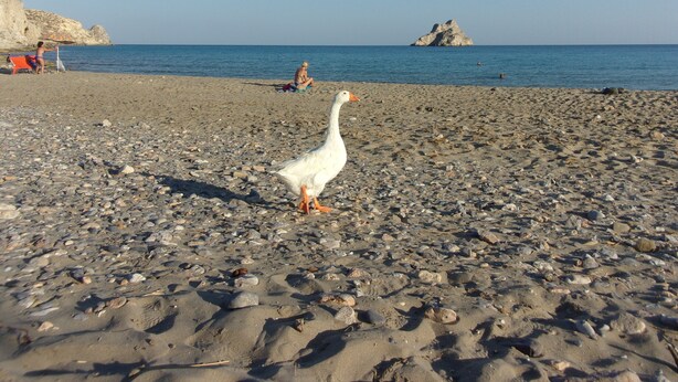 Praia