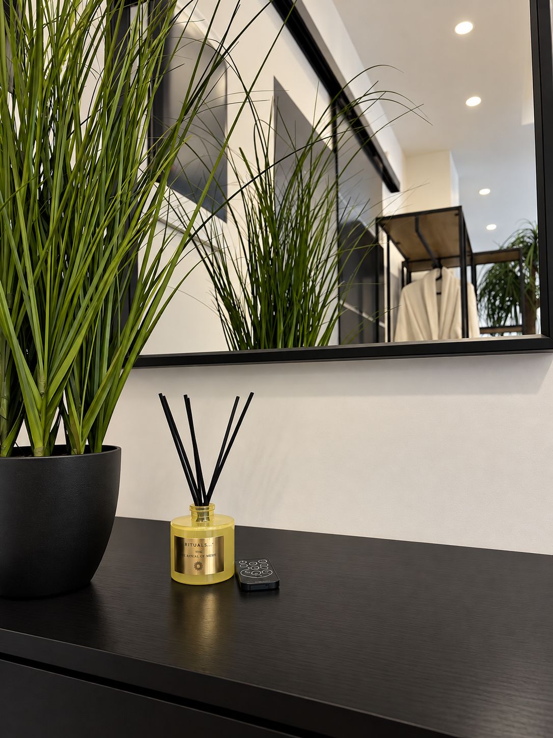 A modern interior with a potted plant, a decorative bottle, and a remote control on a dark surface.
