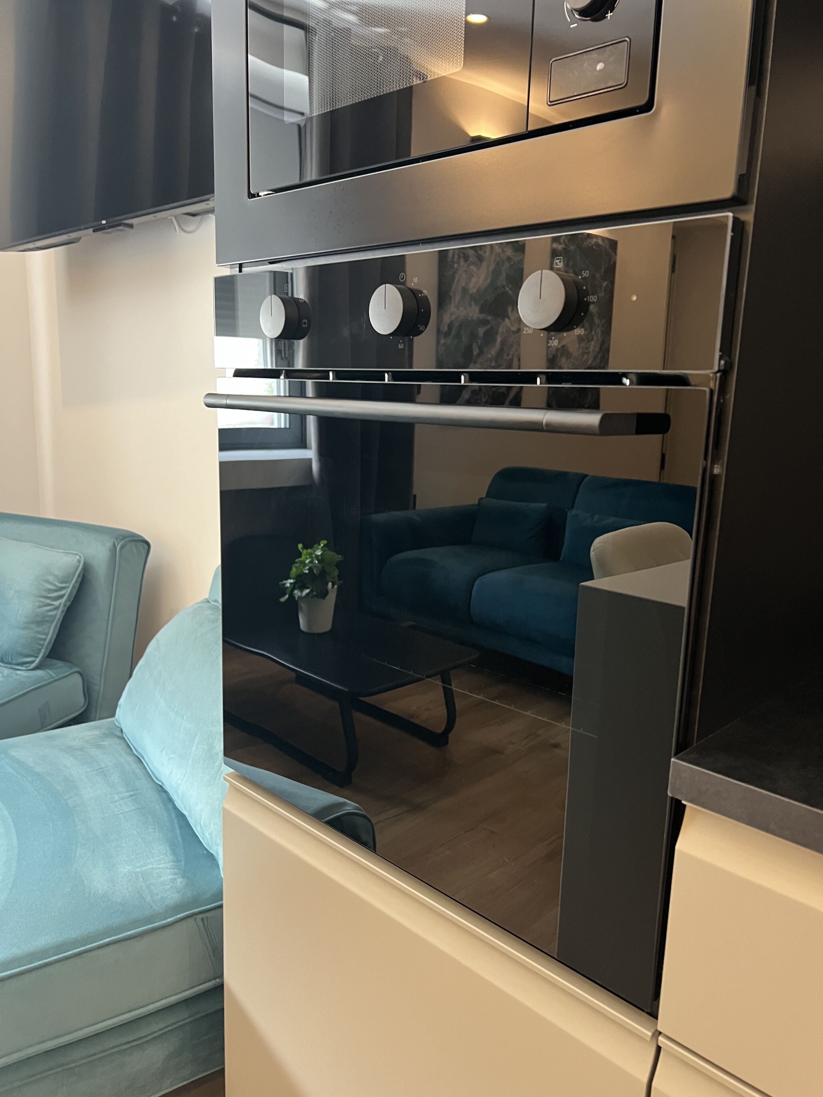 Um espaço de estar compacto com sofá, uma mesa pequena com uma planta e uma área de cozinha compacta com fogão e forno.
