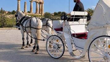 A horse-drawn carriage with a driver, white horses, and ancient columns in the background.