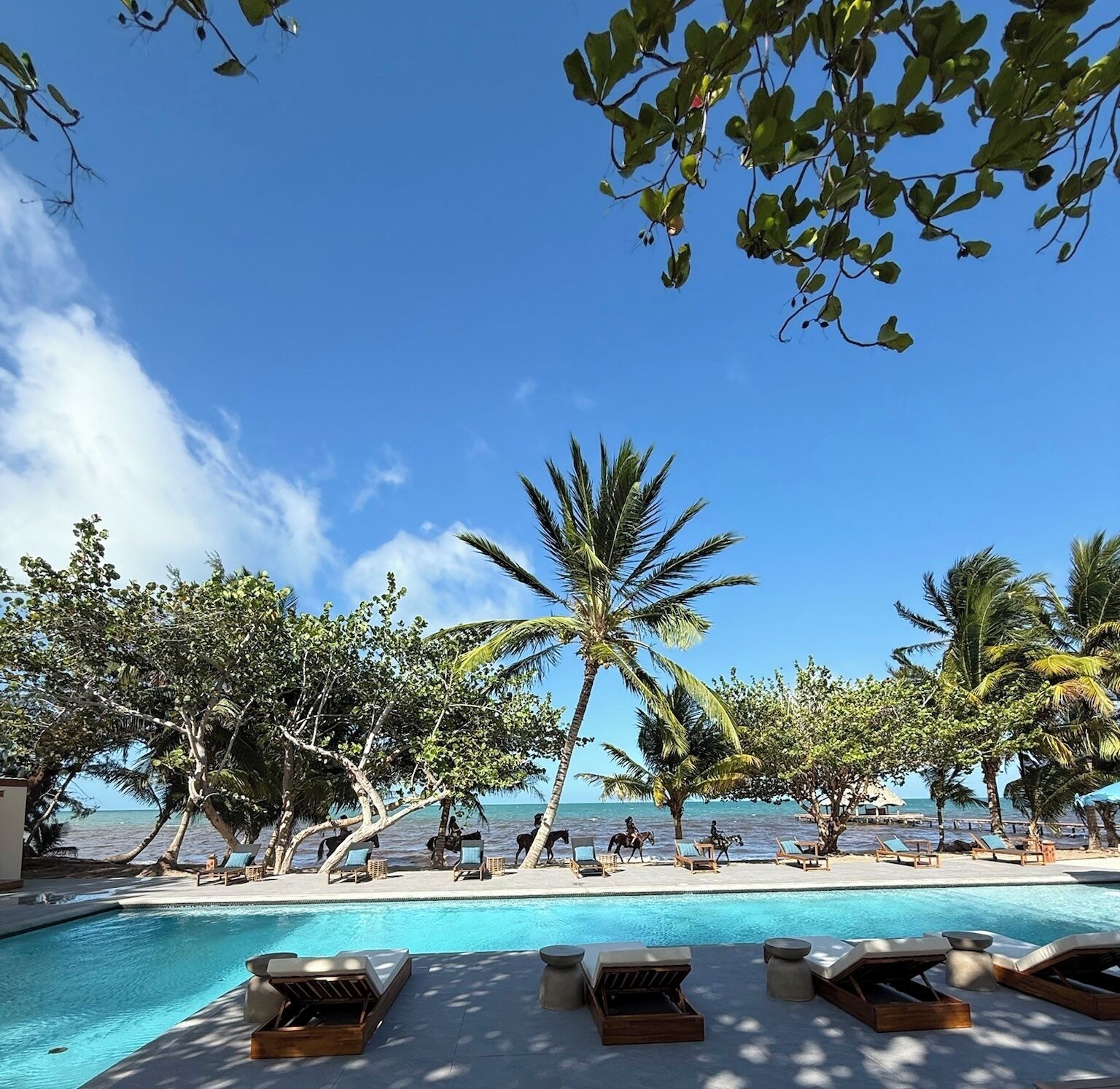 Outdoor pool, open 6:00 AM to 9:00 PM, pool umbrellas, sun loungers