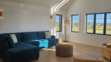 Smart TV, fireplace, books