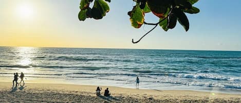 Playa en los alrededores