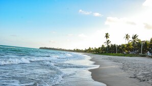 A beach with waves, a clear sky, and palm trees. - Kauai Beach Residence (Tamandaré)