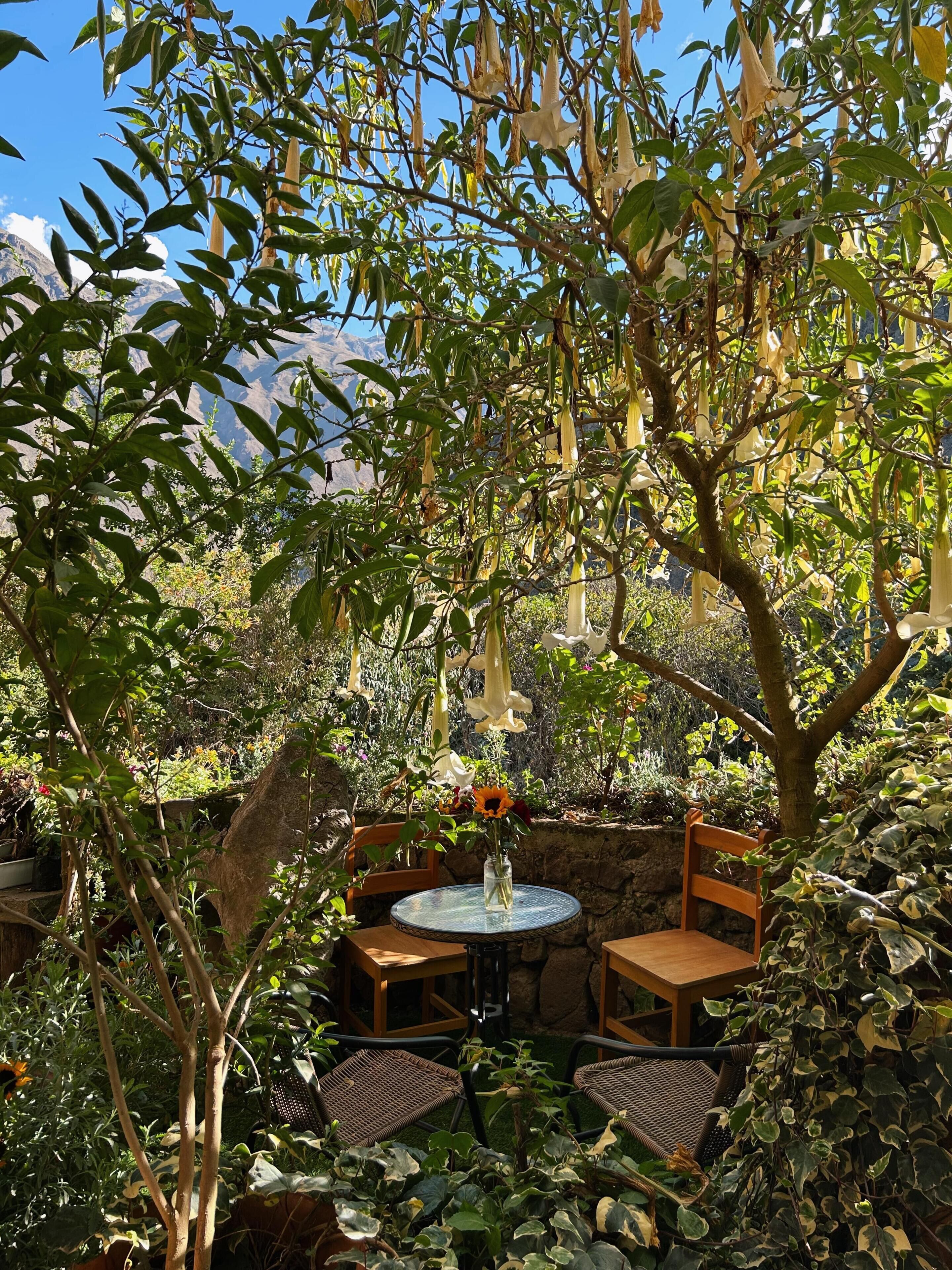 Terras