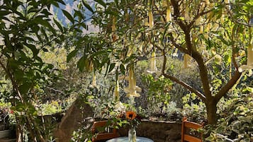 Terras