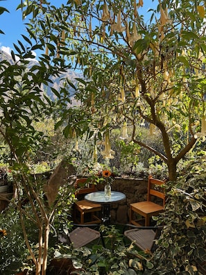 Un espace extérieur aménagé avec une table ronde et des chaises, entouré d’une végétation luxuriante et offrant une vue sur les montagnes.