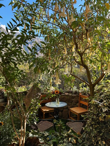 Sara Garden Lodge