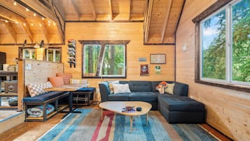 TV, fireplace, DVD player, books