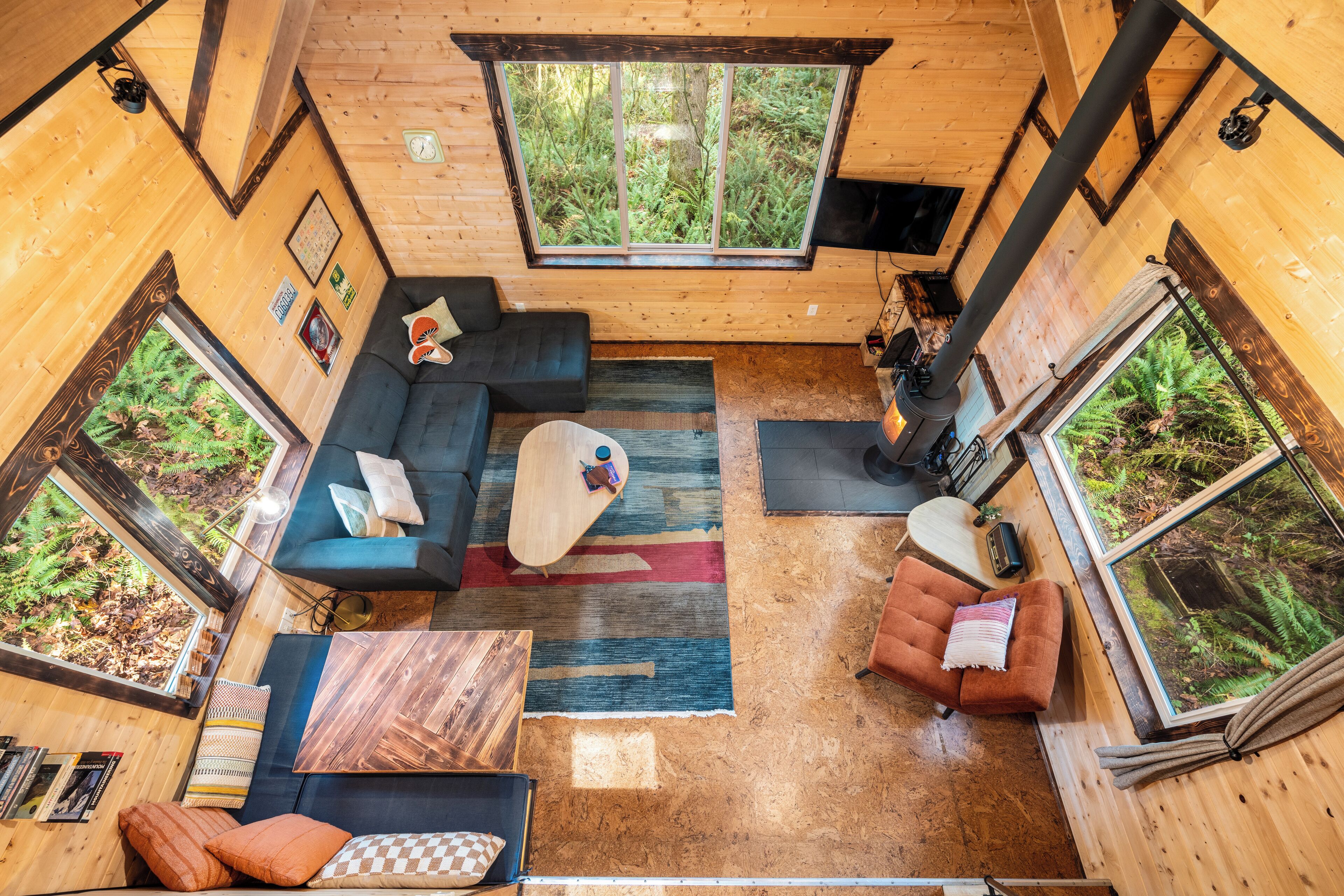 TV, fireplace, DVD player, books