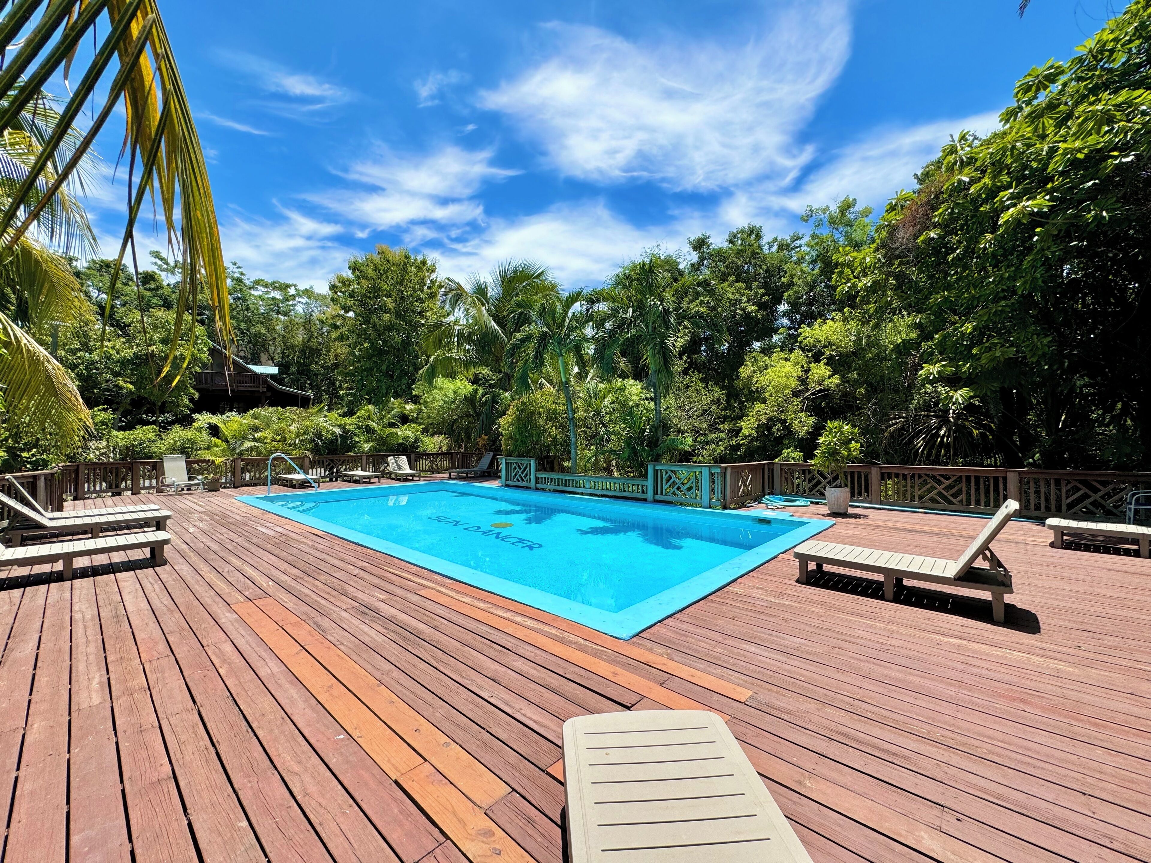 A wooden deck with a swimming pool, lounge chairs, and lush greenery.