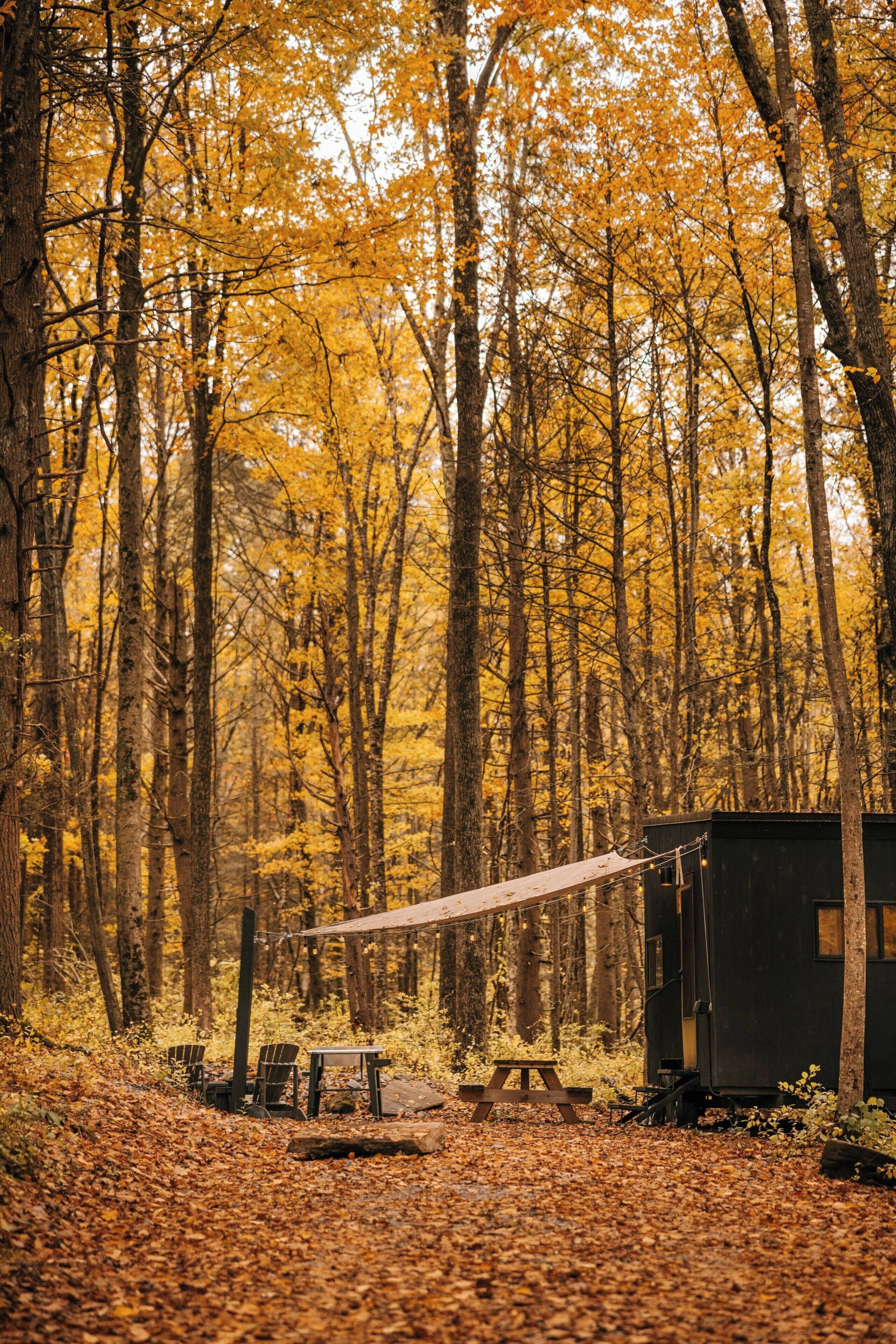 Une cabane dans une forêt, avec une table de pique-nique et des chaises.