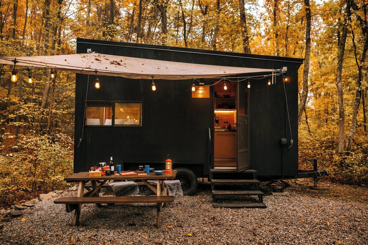 A small, black cabin with a picnic table and string lights, surrounded by autumn trees.
