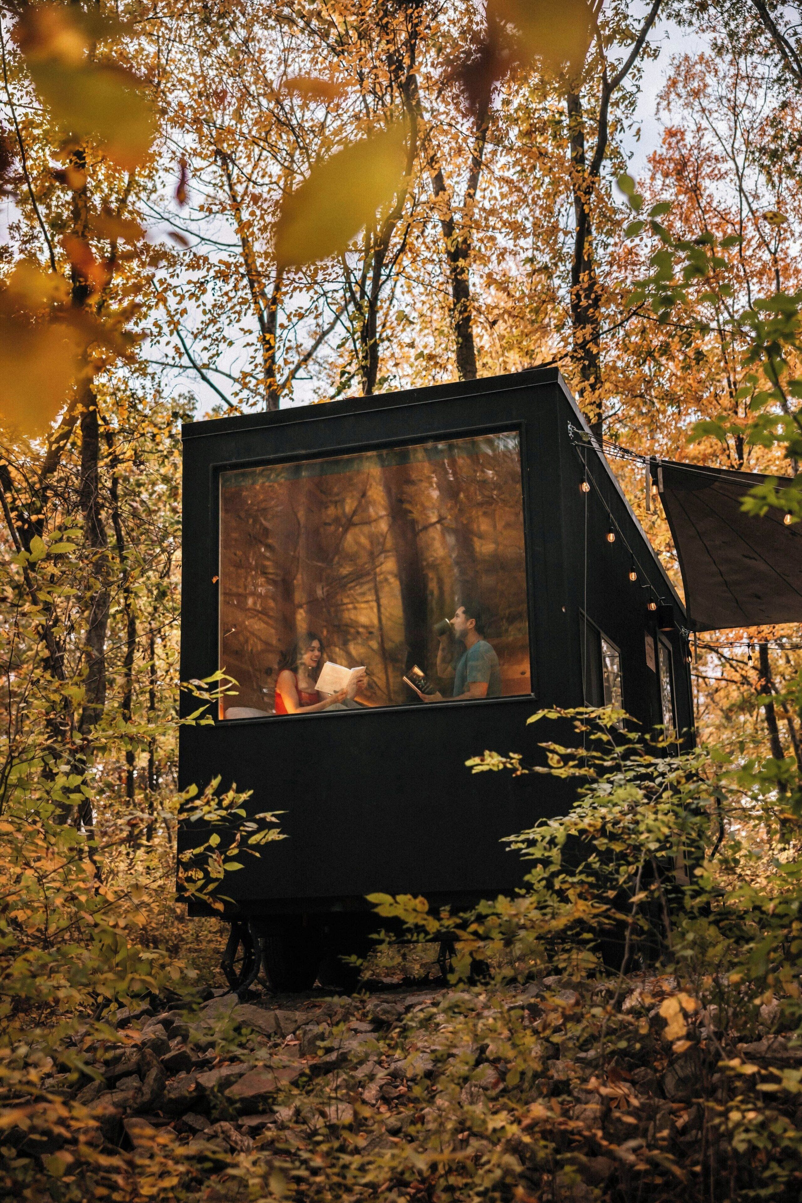 A small, black cabin in a forest with a large window.