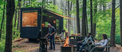 Ein Wald mit einer kleinen Holzhütte und einer Feuerstelle.