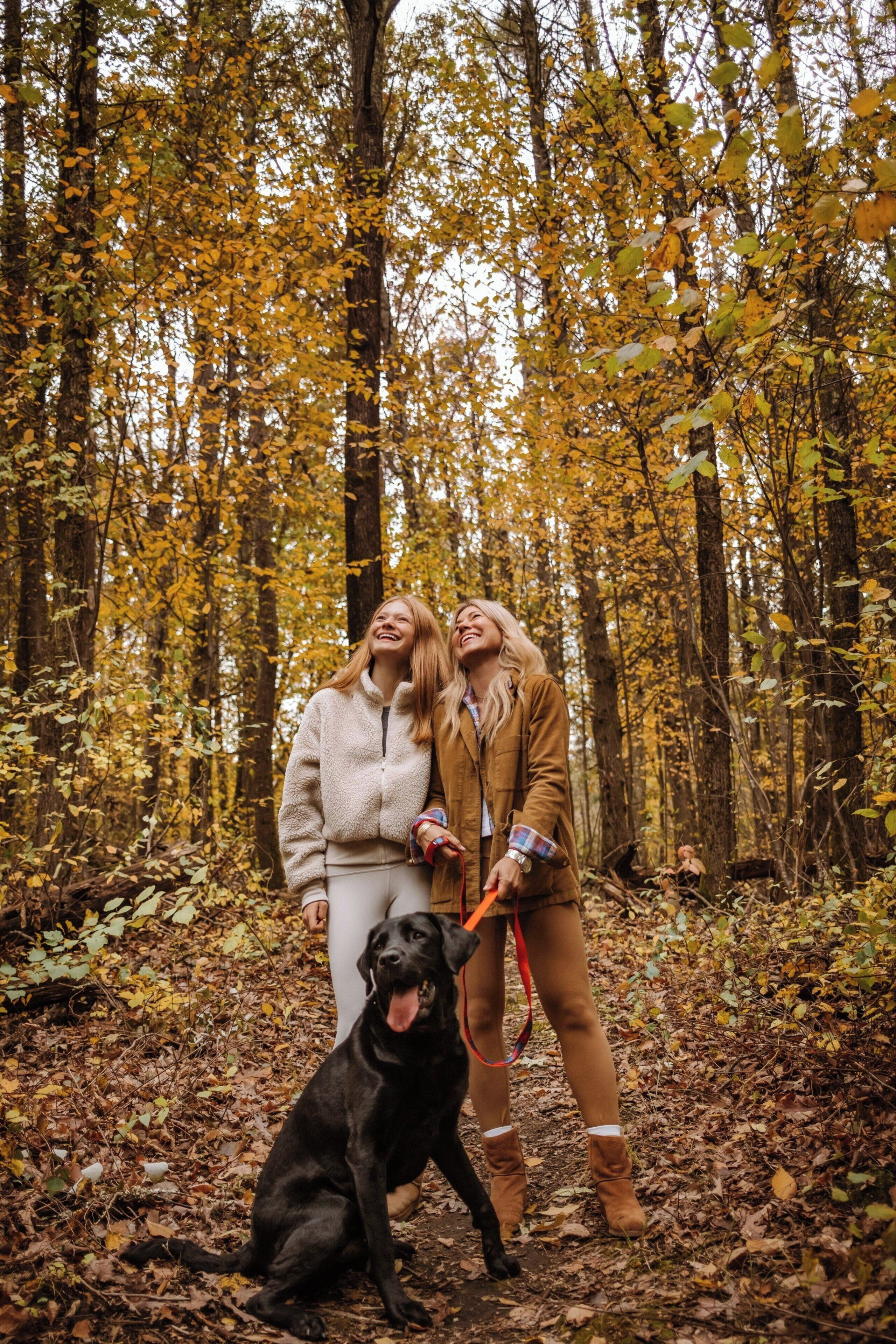 A forest scene with two people and a dog.