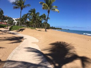 A sandy beach with palm trees and a clear blue sky. - Rio Grande Rio Mar cluster 2,Vista Del Mar- View (Río Grande)