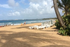 A beach with white lounge chairs and a palm tree. - Rio Grande Rio Mar cluster 2,Vista Del Mar- View (Río Grande)