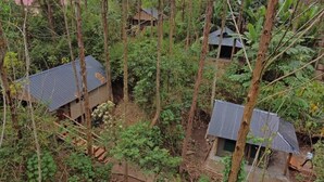 Exterior - Kibale Chimps Villa Lodge (Kibale)