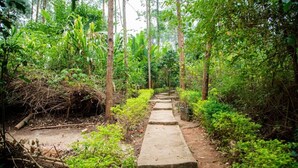 Garden - Kibale Chimps Villa Lodge (Kibale)