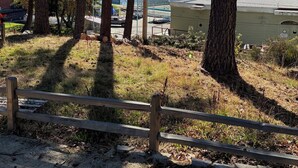 Vista de un lago con árboles y un muelle.