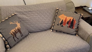 Téléviseur connecté, foyer