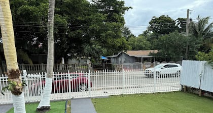 Safari Wynwood
