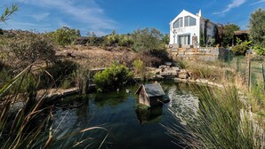 A white house with a stone staircase and a pond in the foreground. - Freesia Villa, Santa Catarina da Fonte do Bispo, Tavira (Stº. Catarina Fonte do Bispo)