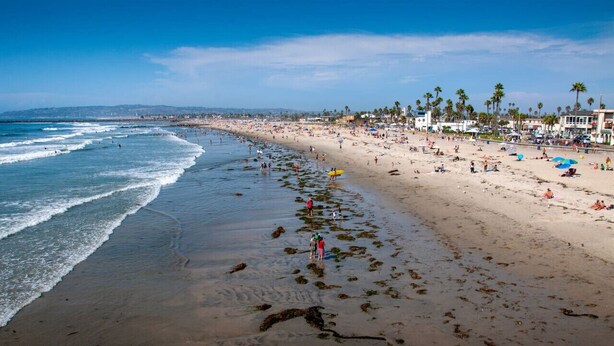 Una playa extensa con agua azul cristalina, palmeras y edificios al fondo.