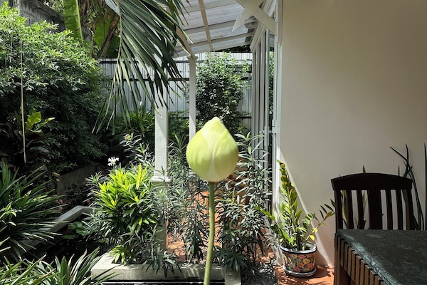 TV LCD 32 polegadas com canais digitais