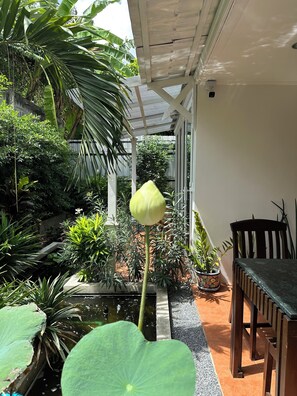 32-吋 LCD 液晶電視，提供數位頻道