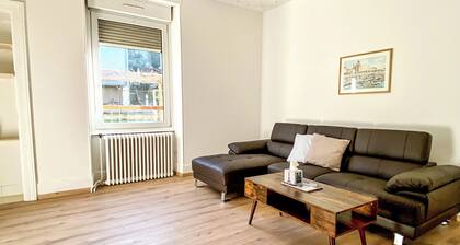 appartement entier avec 3 chambres et 1 salon, proche centre et parkings