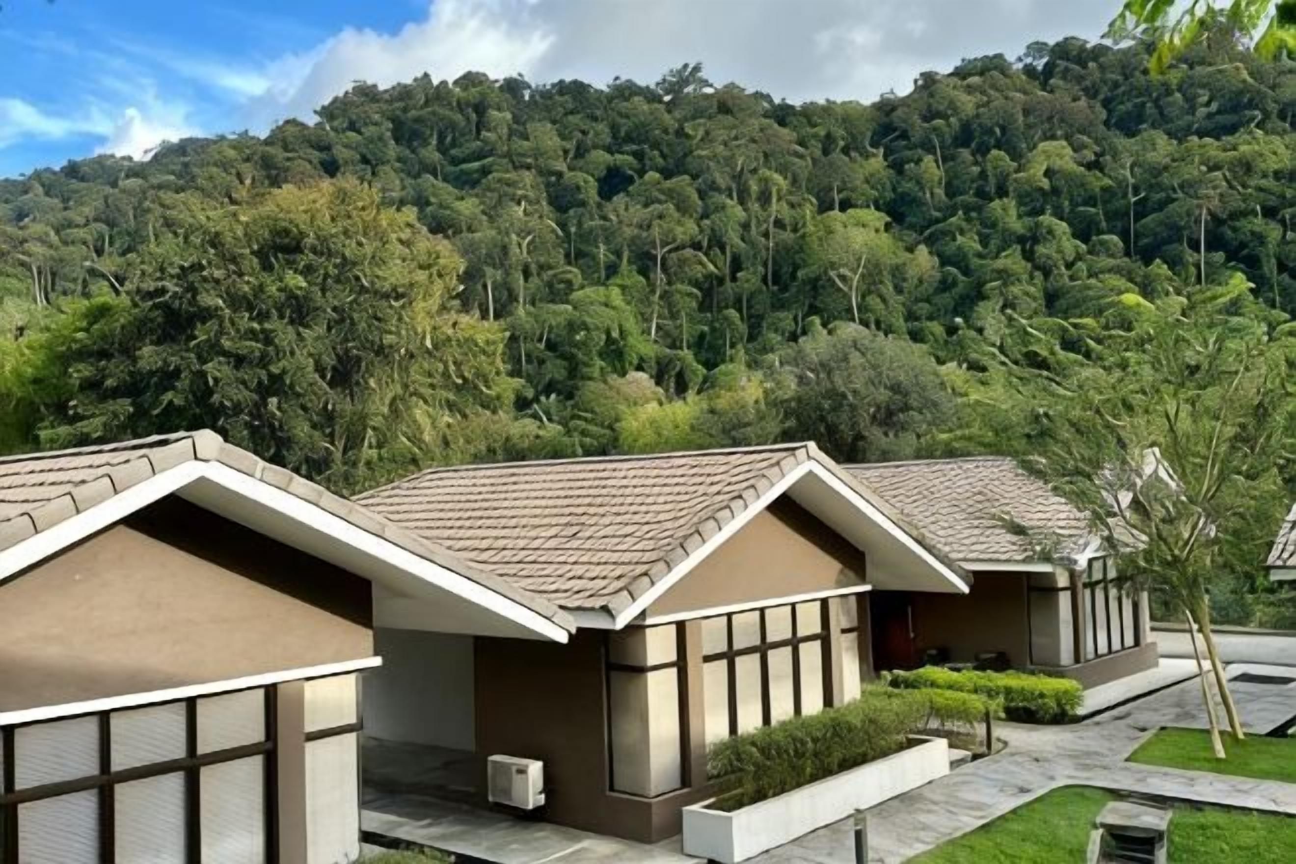 A row of modern, single-story buildings with flat roofs, surrounded by lush greenery and a forested hillside.