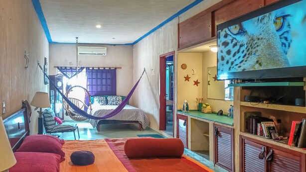 Een slaapkamer met een bed, een hangmat, een televisie en een kleine kitchenette.