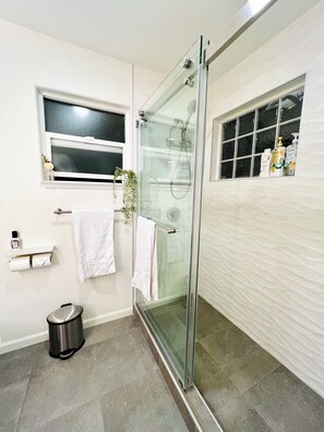 Shower, hair dryer, bidet, towels