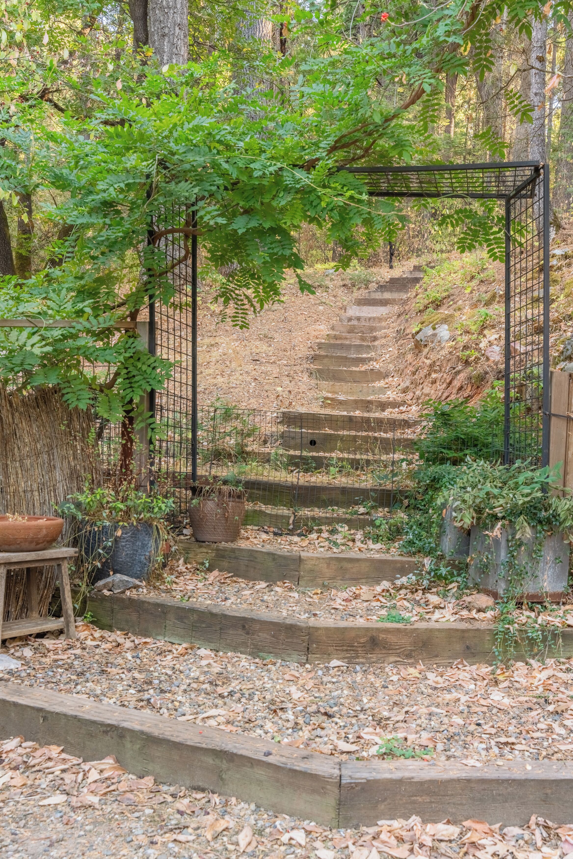 A wooden staircase surrounded by greenery, leading up a hill.