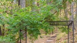 A wooden staircase surrounded by greenery, leading up a hill. - Sage House - Walking Distance to Lake, Hot Tub, Pet Friendly w/ New AC (Arnold)