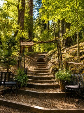 A wooden staircase leading to a park area with benches and a sign indicating the Arnold Rim Trail.