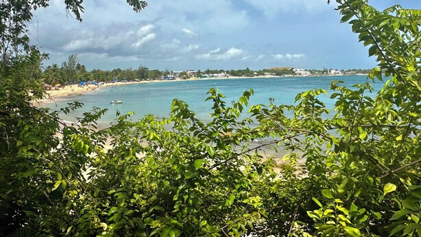 A beach view with clear skies, palm trees, and a calm sea.