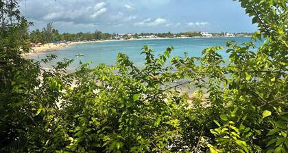 Entire Private House Perfect for a Tropical Gateway