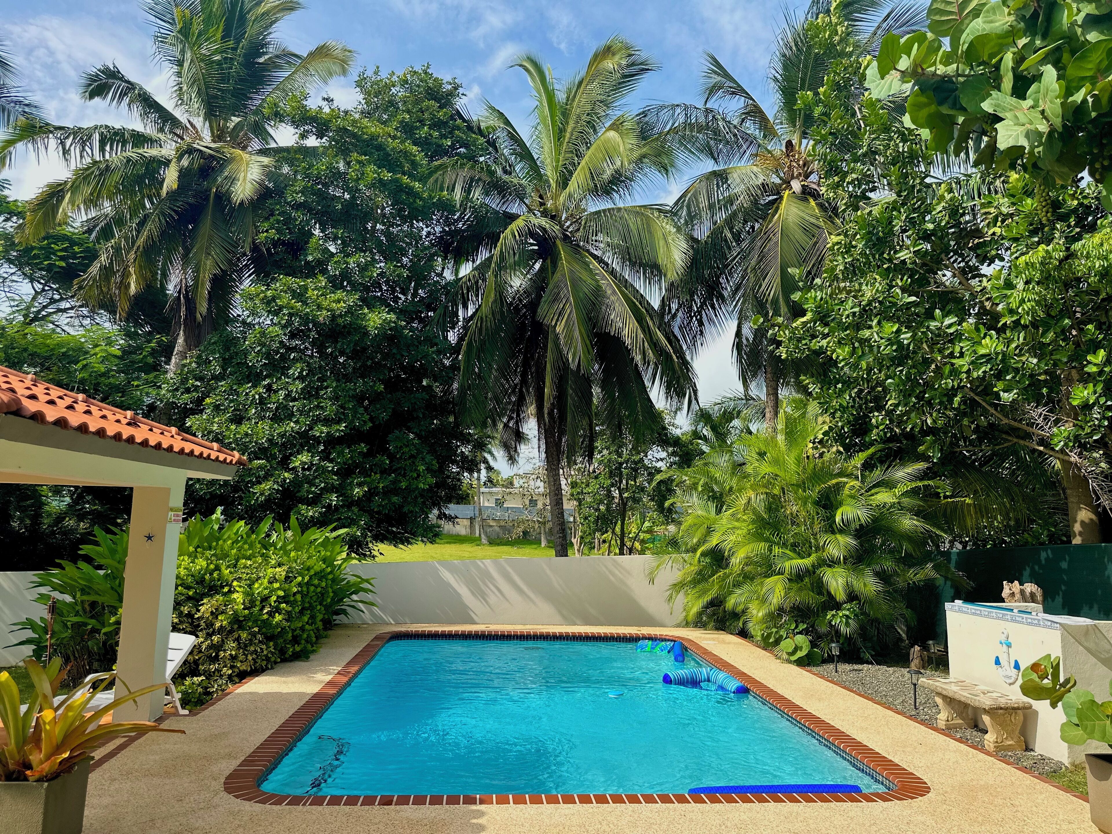 A swimming pool surrounded by lush greenery and palm trees.