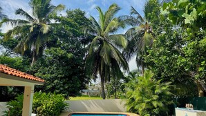 A swimming pool surrounded by lush greenery and palm trees.