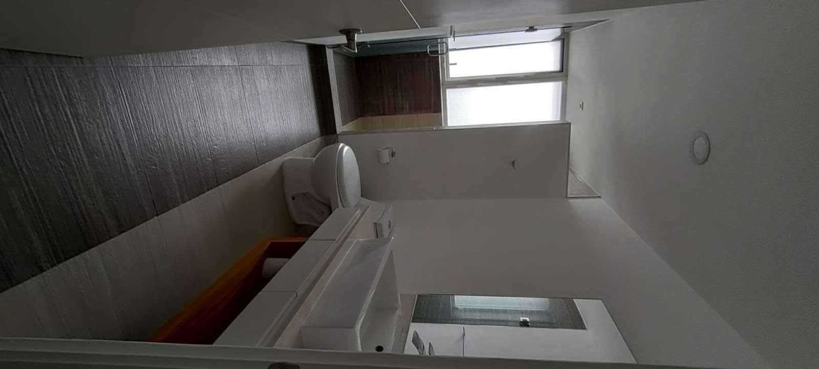 Ducha, toallas, jabón, papel higiénico