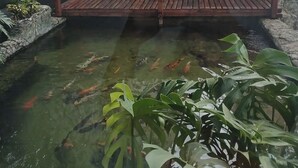 A koi pond with a wooden bridge, surrounded by potted plants and a stone wall. - Myapêcaldasnovas. (Centro Caldas Novas)