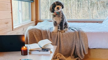 1 bedroom, desk, laptop workspace, bed sheets