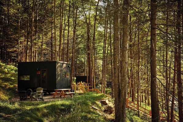 Una cabaña pequeña con una mesa y sillas de picnic en un bosque.