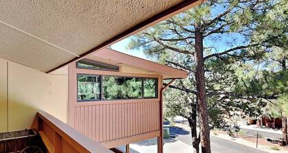 Pinon Park C11