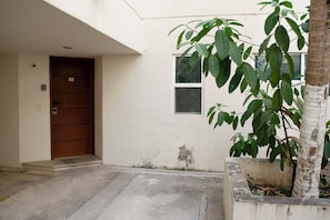 A building entrance with a wooden door, a small window, and a potted plant.